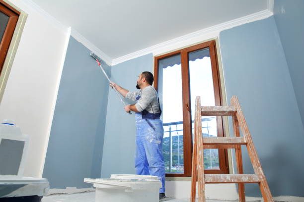 Best Fire-Damaged Drywall Repair  in Ecorse, MI