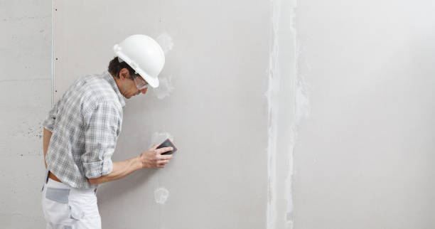 Best Drywall Texturing  in Ecorse, MI