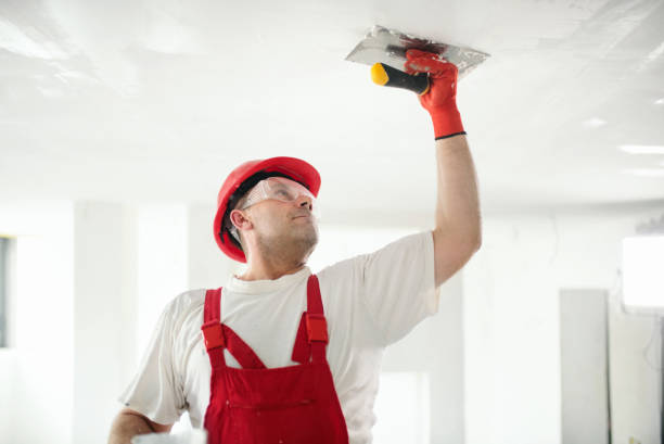 Best Drywall Installation  in Ecorse, MI